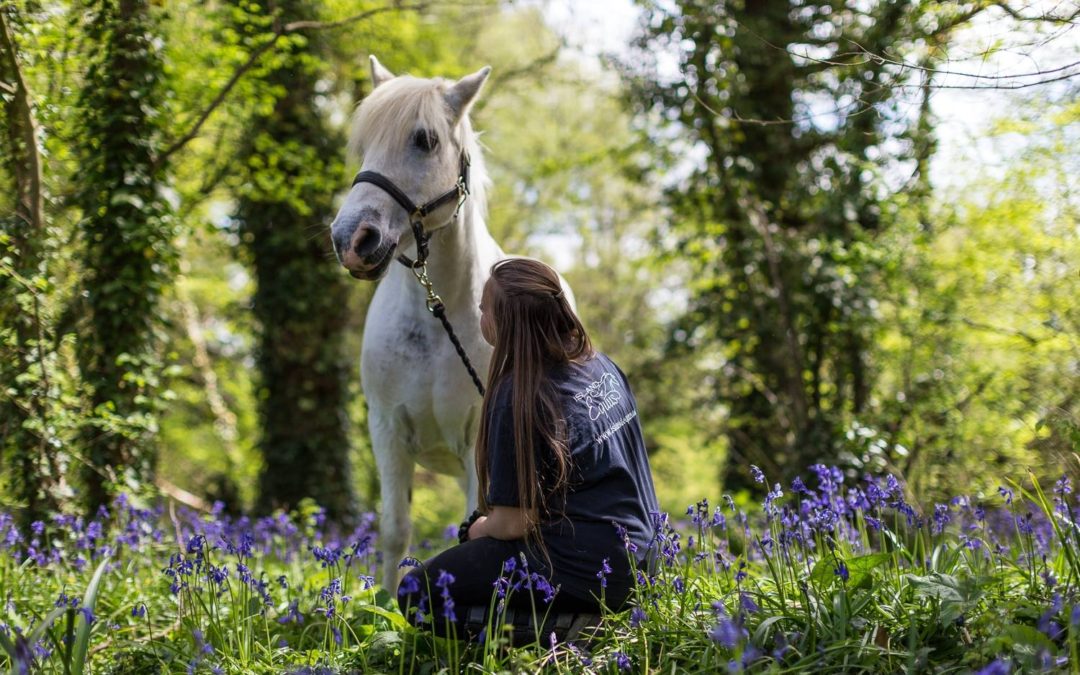 Can horse therapy make you happy?