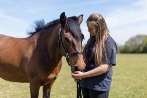 Clients bond with the horses